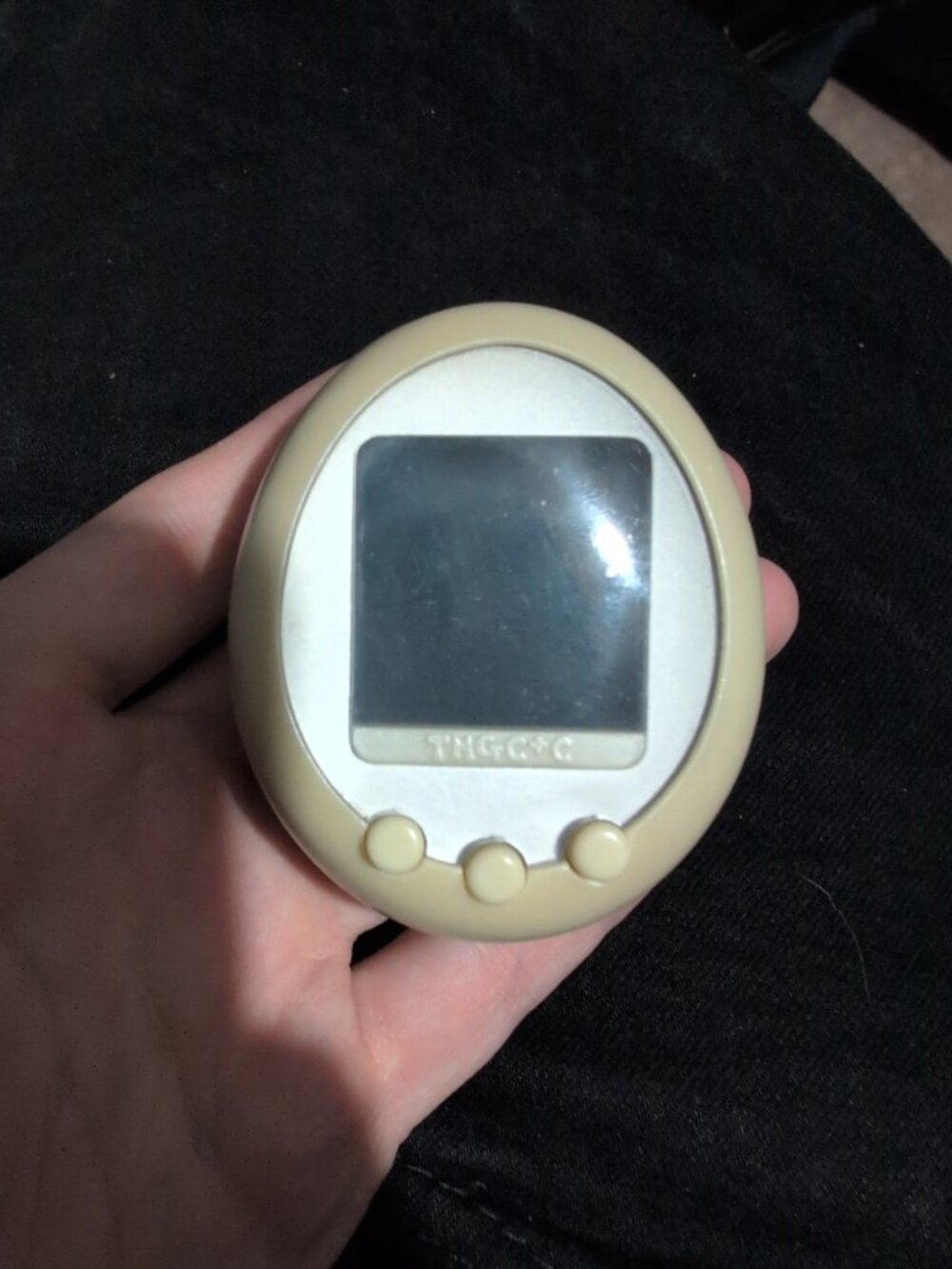 Tamagotchi Plus Color 2008 Operation confirmed Used Bandai !!!READ!!!